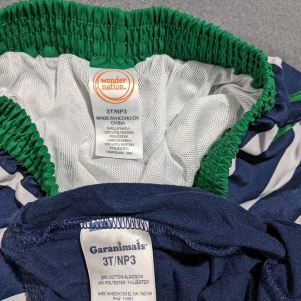 Champion these shorts
